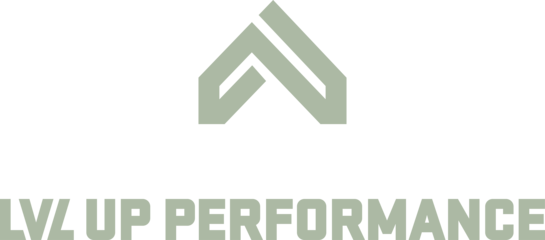 Lvl Up Performance